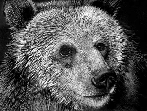 200,000+ Free Black White Drawings & Drawing Images .